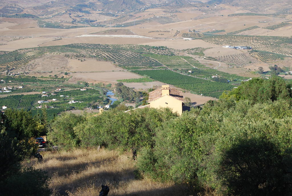 Hidden Valley Andalucia Alora Bagian luar foto